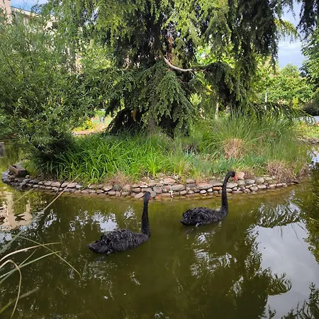 Cascadas, With A Pool View * Sunny Beach