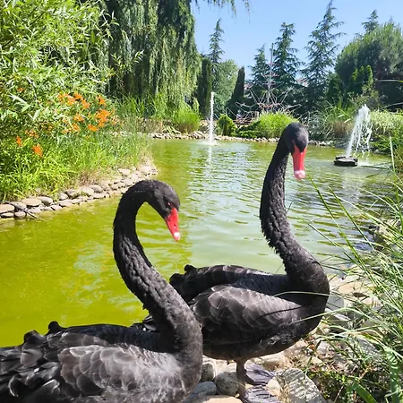 Appartement Cascadas, With A Pool View Slantchev Briag