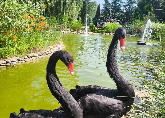 Apartment Cascadas, With A Pool View Sunny Beach