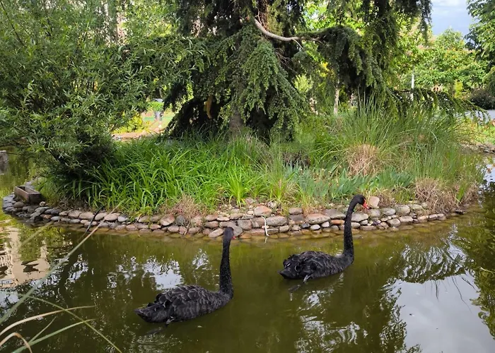 Cascadas, With A Pool View * 阳光海滩